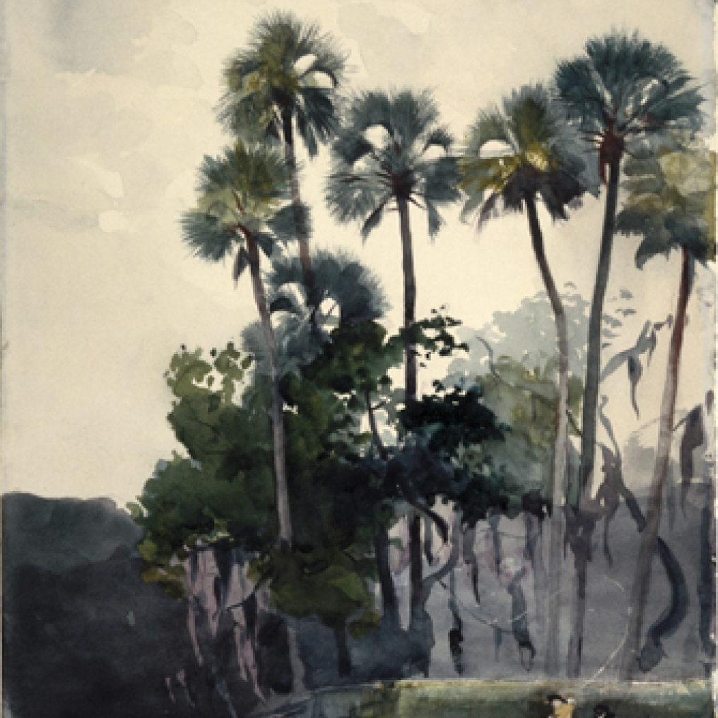 Winslow Homer: Homosassa River