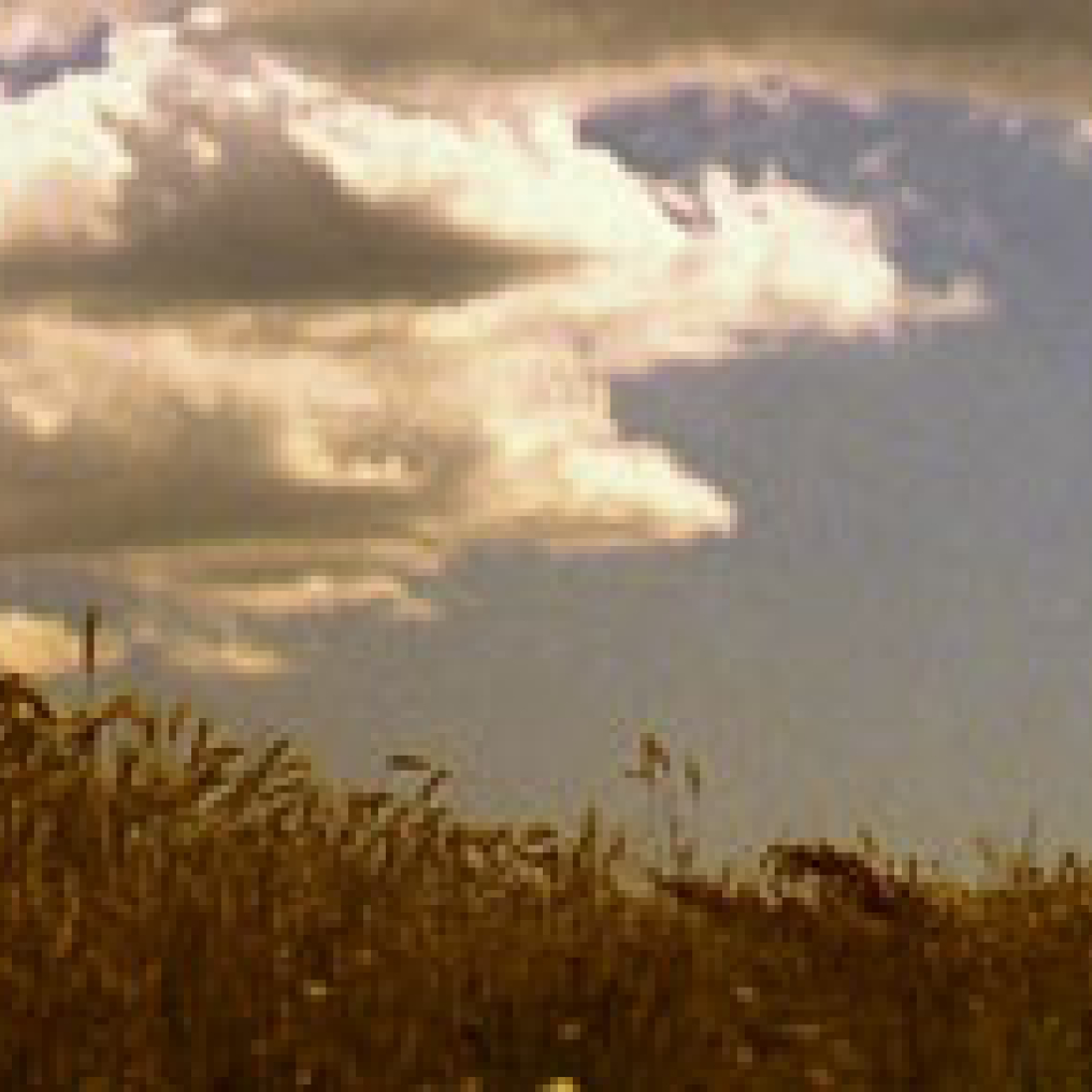 Jesper Just: Bliss and Heaven