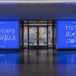 Guadalupe Maravilla: Tierra Blanca Joven